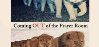 Prayer: are we kittens or lions?