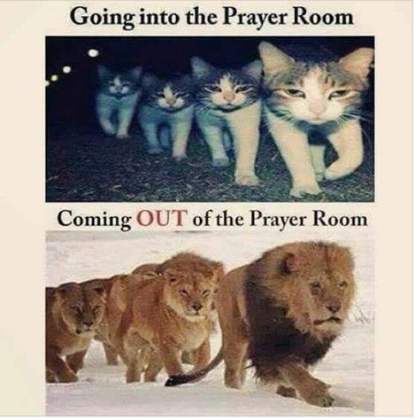 Prayer: are we kittens or lions? | Congregation Faithful Stewardship