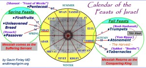 calendar- circular calendar 2